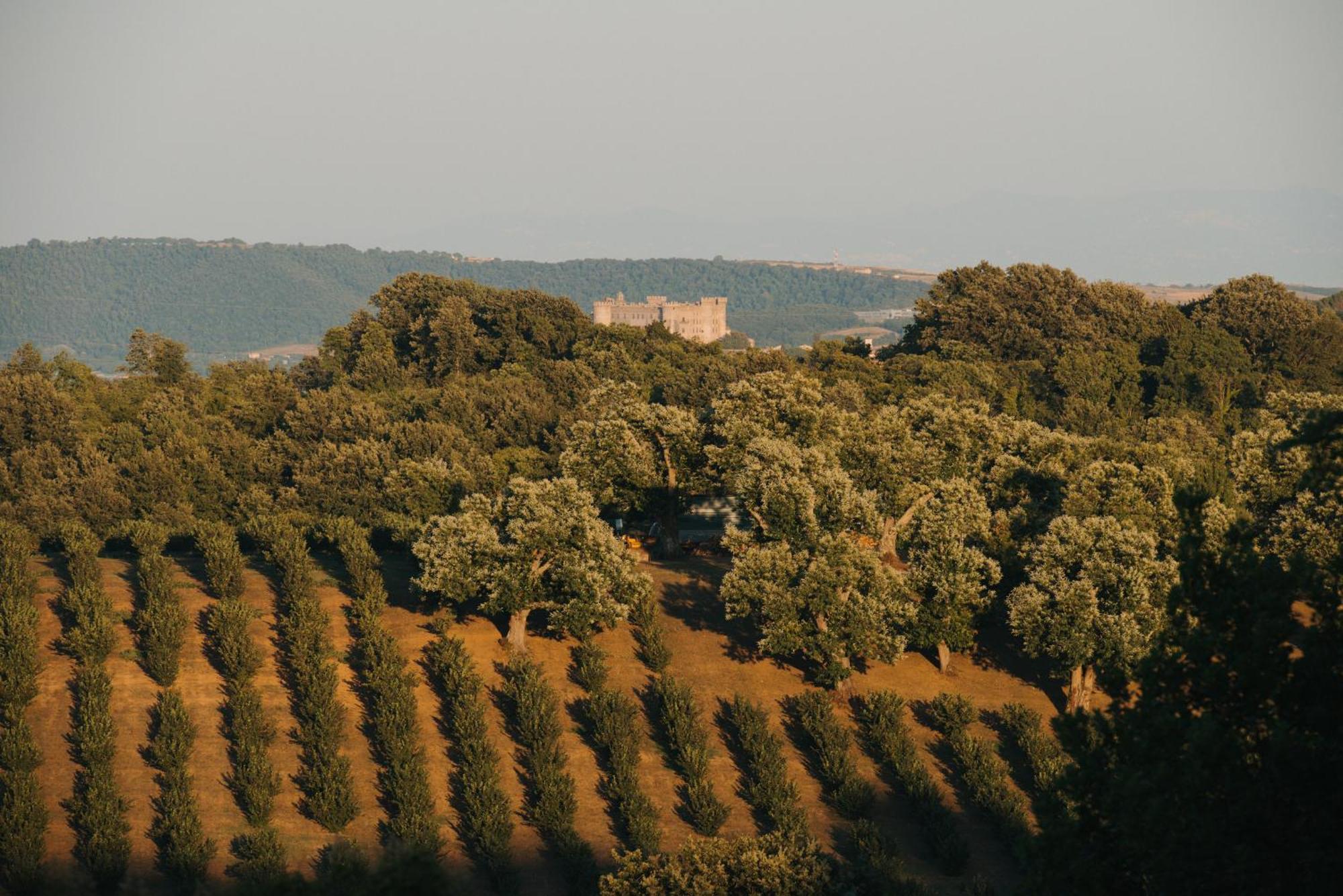 Villa Clodia Relais Manziana المظهر الخارجي الصورة